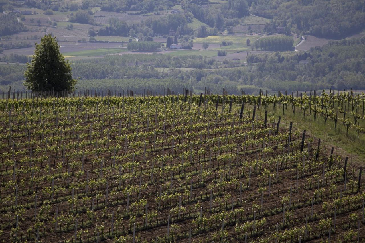 Cascina Marcantonio Acqui Terme Εξωτερικό φωτογραφία