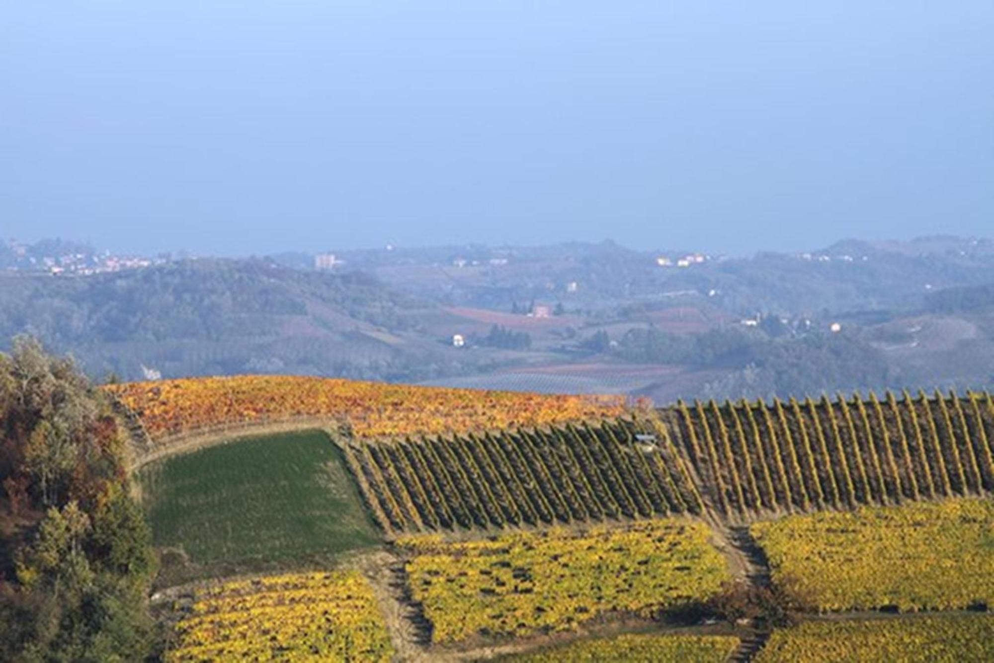 Cascina Marcantonio Acqui Terme Εξωτερικό φωτογραφία